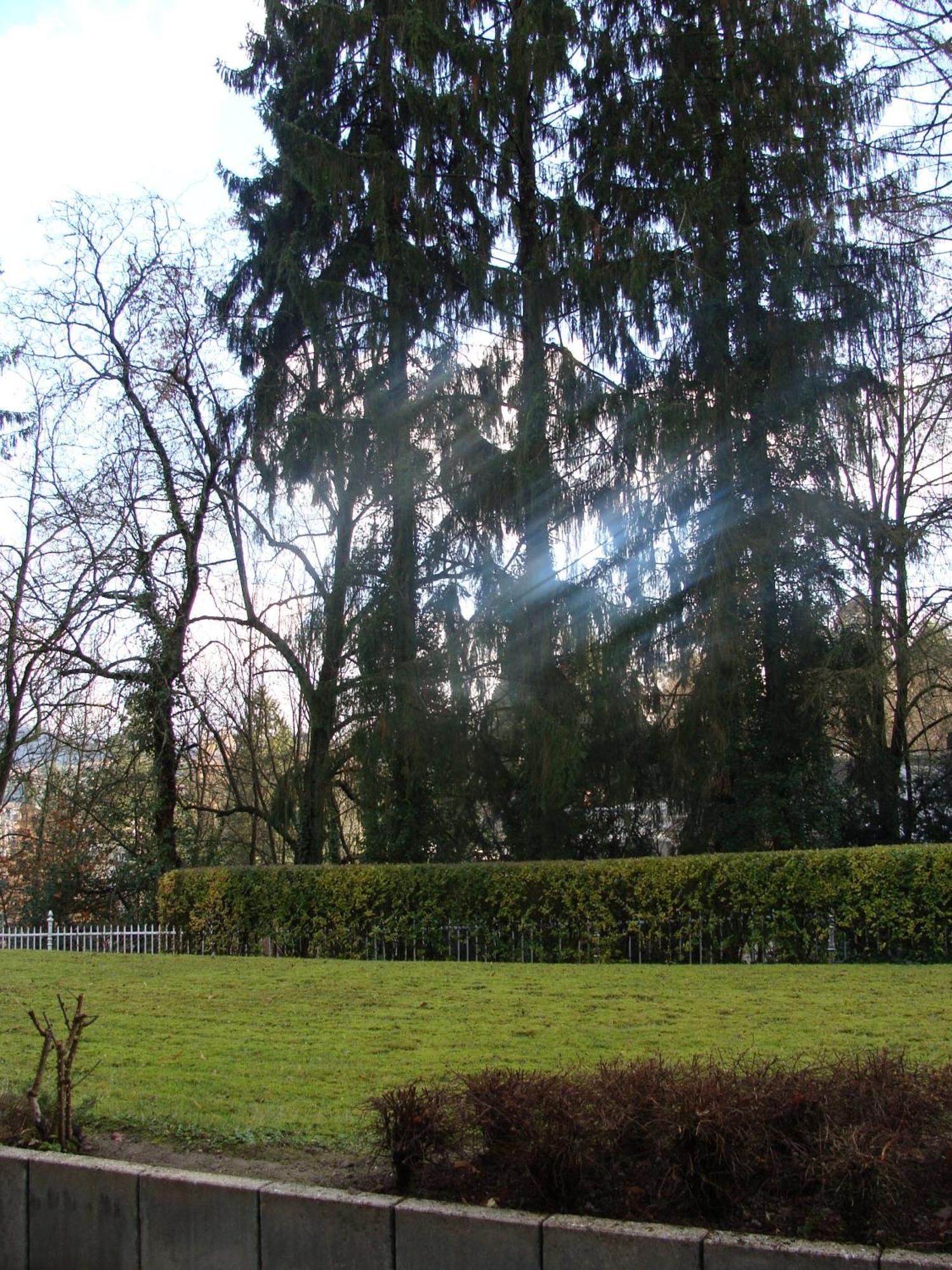 Vip Apartment Baden-Baden Exterior foto
